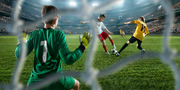 意地误导了 意地误导了